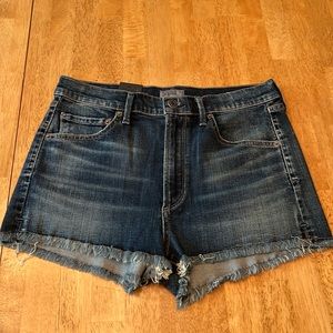 NWT AGOLDE jean shorts 27